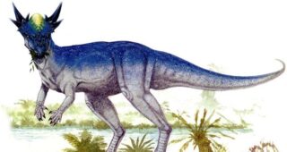 Jurassic World : Fallen Kingdom : photo