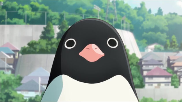 photo Penguin Highway