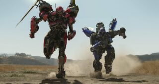 Bumblebee : photo