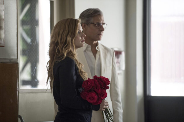 photo, Sharp Objects saison 1, Amy Adams