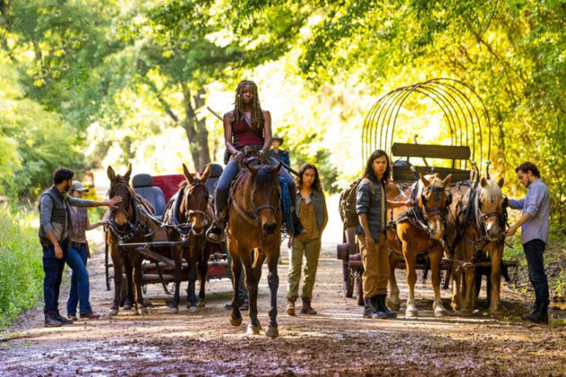 photo Saison 9