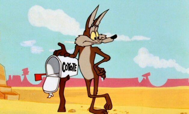 Bip Bip et Coyote : photo Will E Coyote