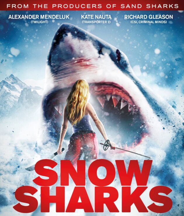 photo snow shark