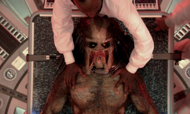 The Predator : photo
