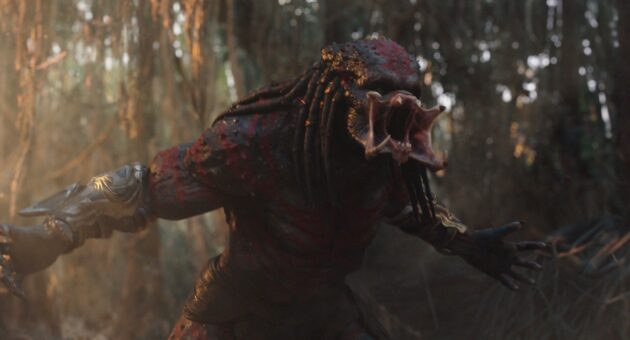 photo The Predator