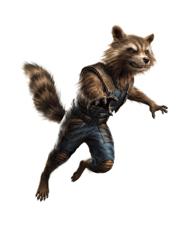 photo Rocket Raccoon
