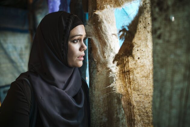 photo, Dina Shihabi