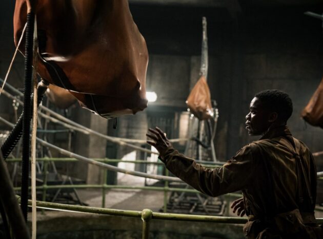photo, Jovan Adepo