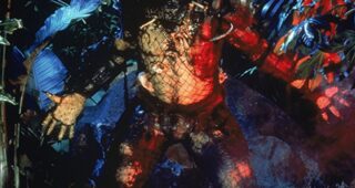 Predator : photo