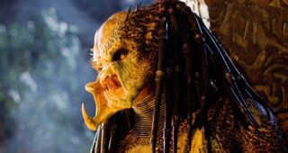 Predators : photo