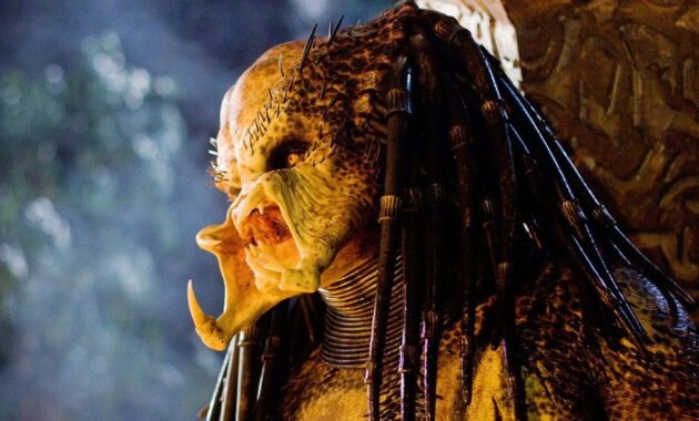 Predators : photo