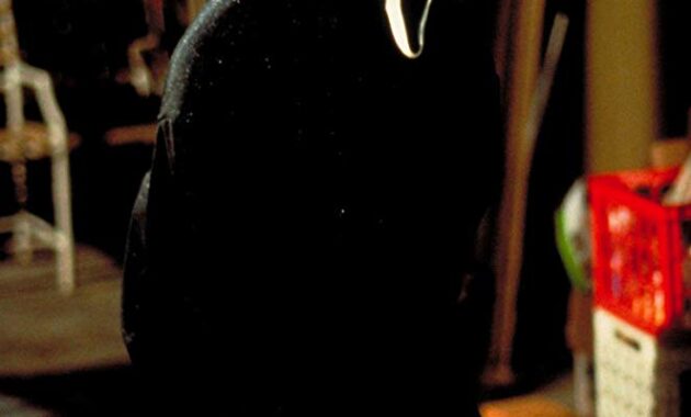 Scream : photo