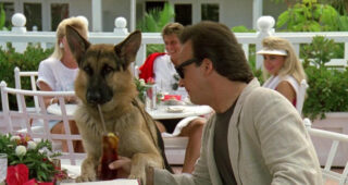 Chien de flic : photo, James Belushi