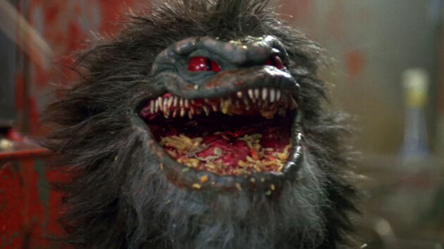 photo Critters