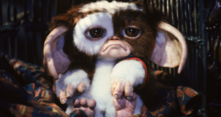 Gremlins 2, la nouvelle génération : photo