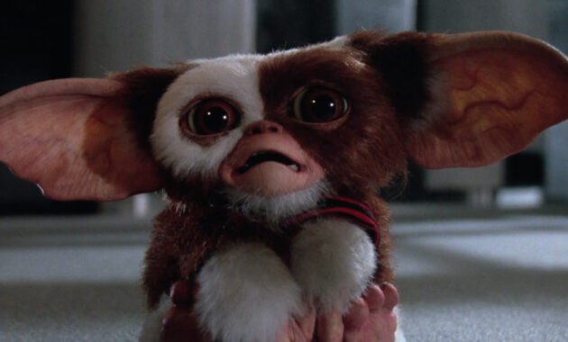 Gremlins 2, la nouvelle génération : photo