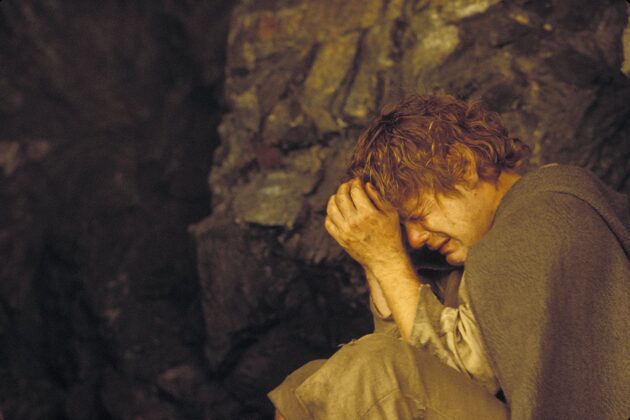 Le Seigneur des Anneaux : Le retour du roi : photo, Sean Astin