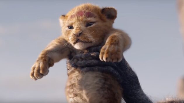 photo le roi lion