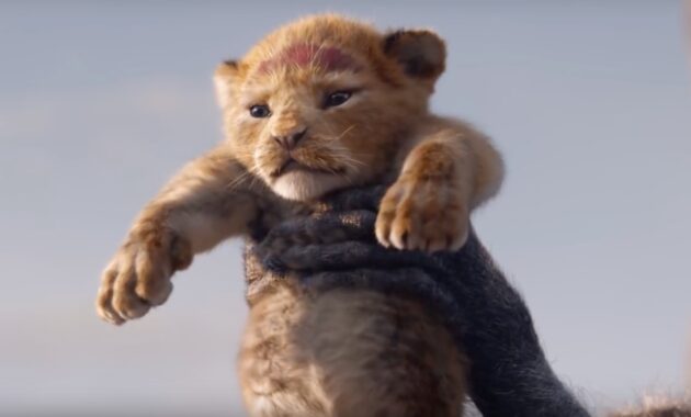 Le Roi Lion : photo le roi lion