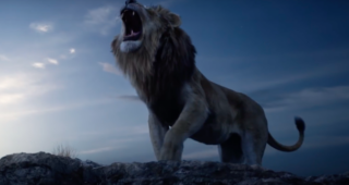 Le Roi Lion : photo le roi lion