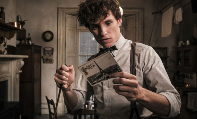 Les Animaux fantastiques : Les Crimes de Grindelwald : photo, Eddie Redmayne