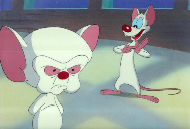 photo, Minus et Cortex
