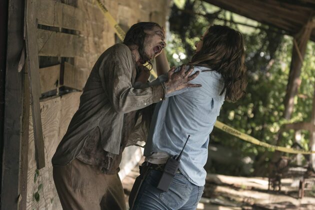 photo, Lauren Cohan