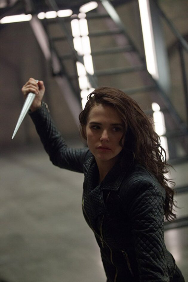 photo, Vampire Academy