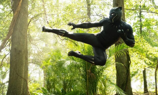 Avengers : Infinity War : photo, Chadwick Boseman