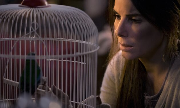 Bird Box : photo, Sandra Bullock
