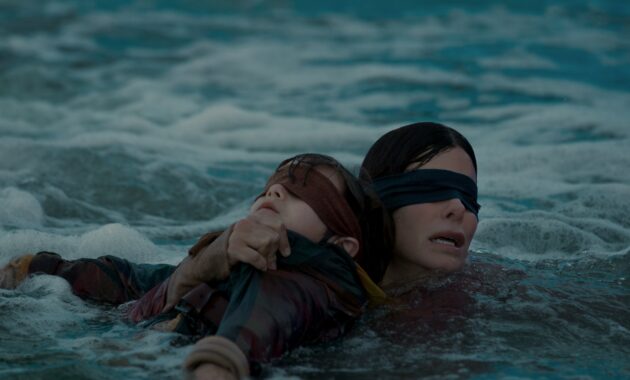 Bird Box : photo, Sandra Bullock