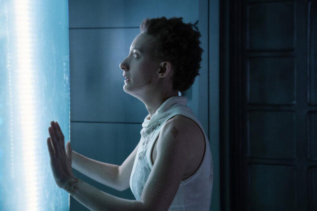 photo, Maya Eshet