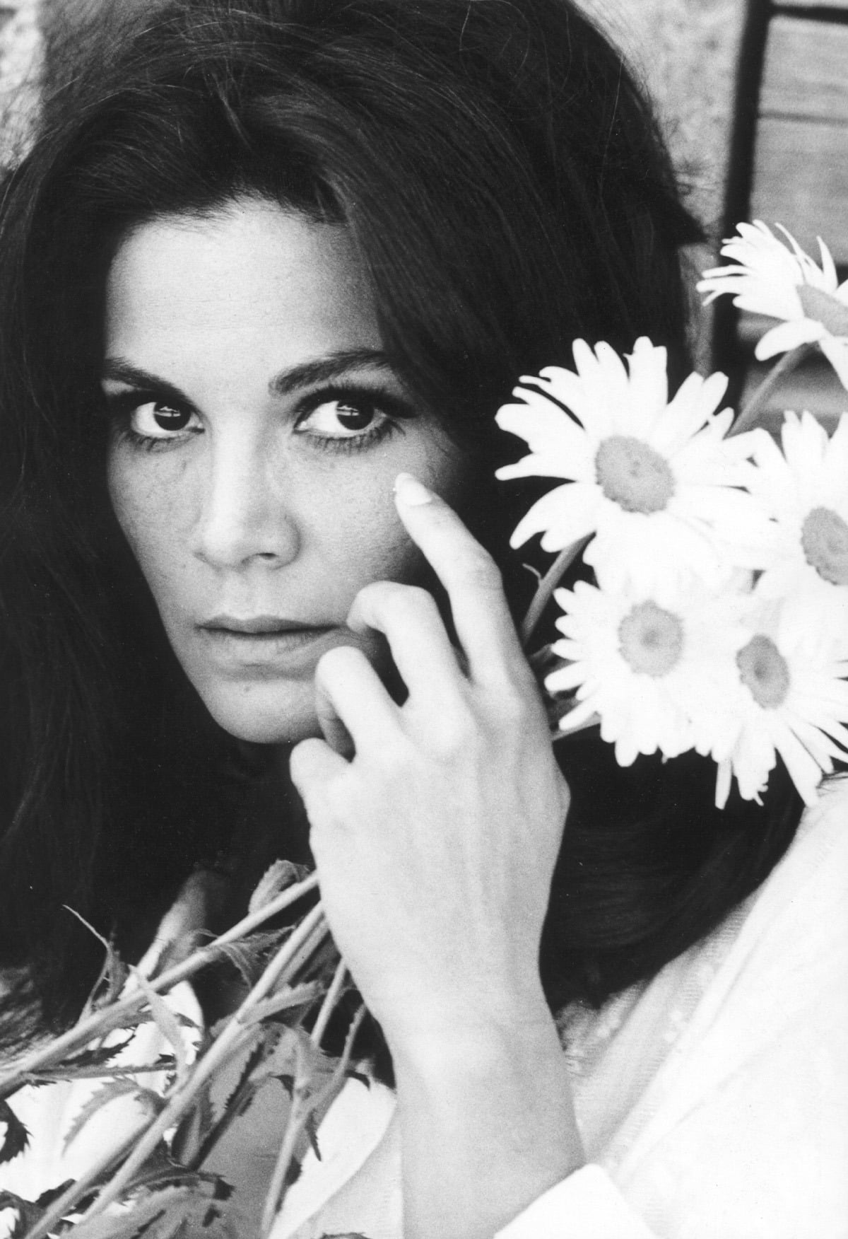 Florinda Bolkan : Photo officielle