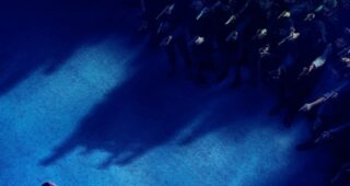 John Wick : Parabellum : photo