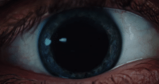 Velvet Buzzsaw : Photo