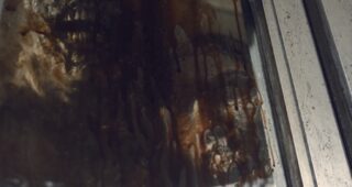 The Walking Dead saison 9 : photo