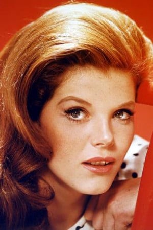 Samantha Eggar : Photo officielle