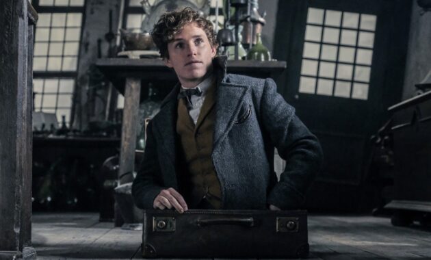Les Animaux fantastiques : Les Crimes de Grindelwald : photo, Eddie Redmayne
