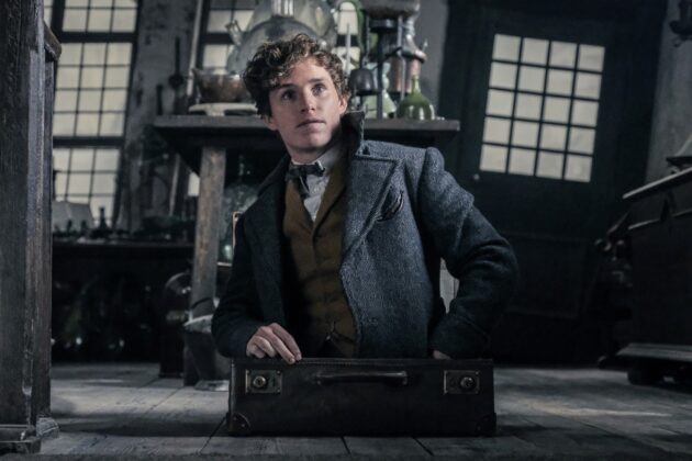 photo, Eddie Redmayne