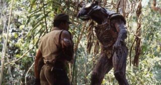 Predator : photo