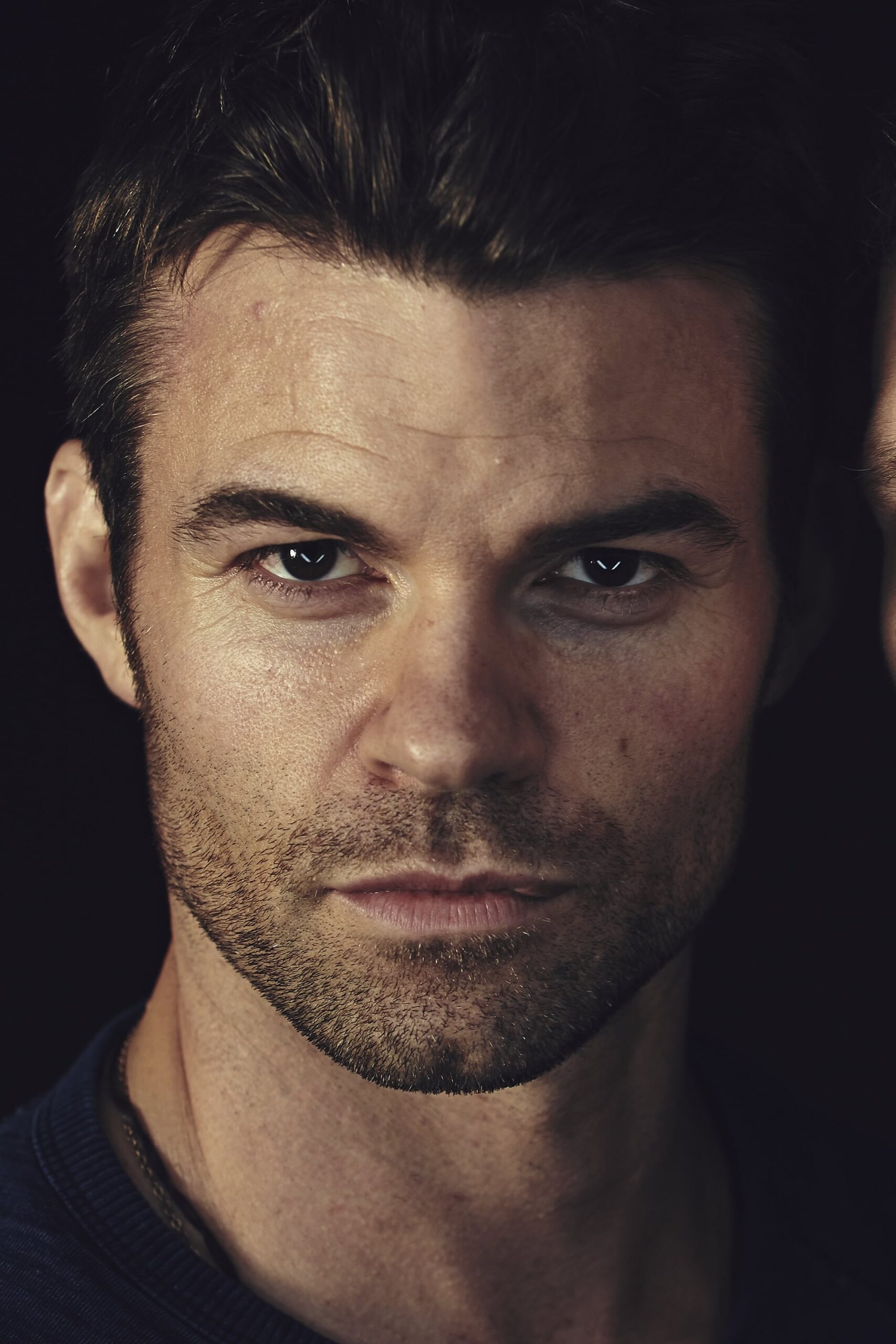 Daniel Gillies : Photo officielle