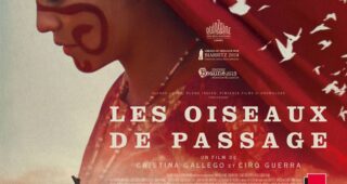 Les Oiseaux de passage : affiche