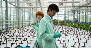 Little Joe : Photo Ben Whishaw, Emily Beecham