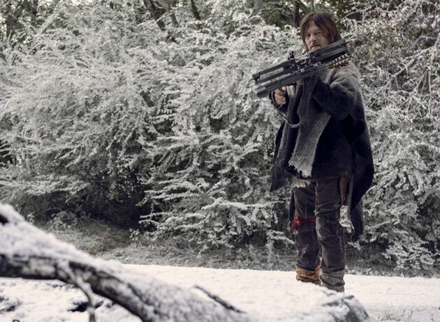 photo, Norman Reedus