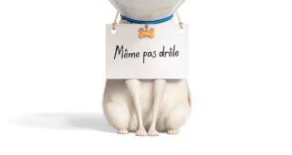 Comme des bêtes 2 : Affiche officielle