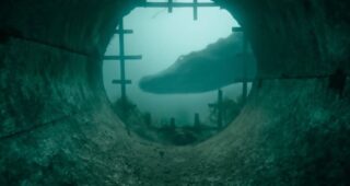 Crawl : photo