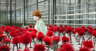 Little Joe : Photo Emily Beecham