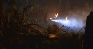 Swamp Thing : photo, Crystal Reed
