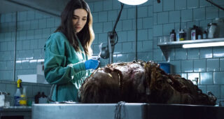 Swamp Thing : photo, Crystal Reed
