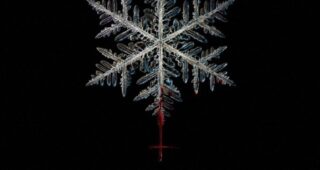 The Lodge : Affiche US